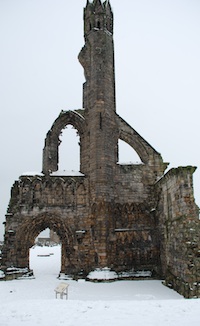 cathedral.small