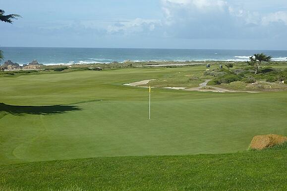 MPCC