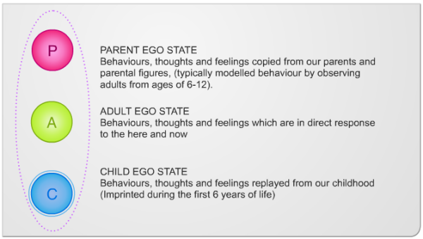 ego_statemodel-resized-600